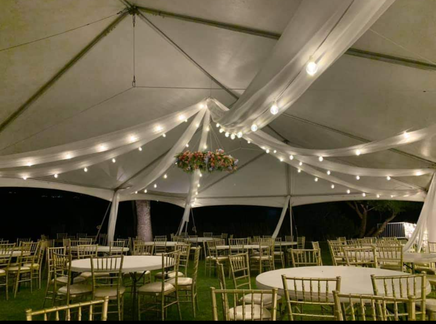Wedding & Event Lighting in Jarrettsville, MD: Outdoor Celebrations Done Right