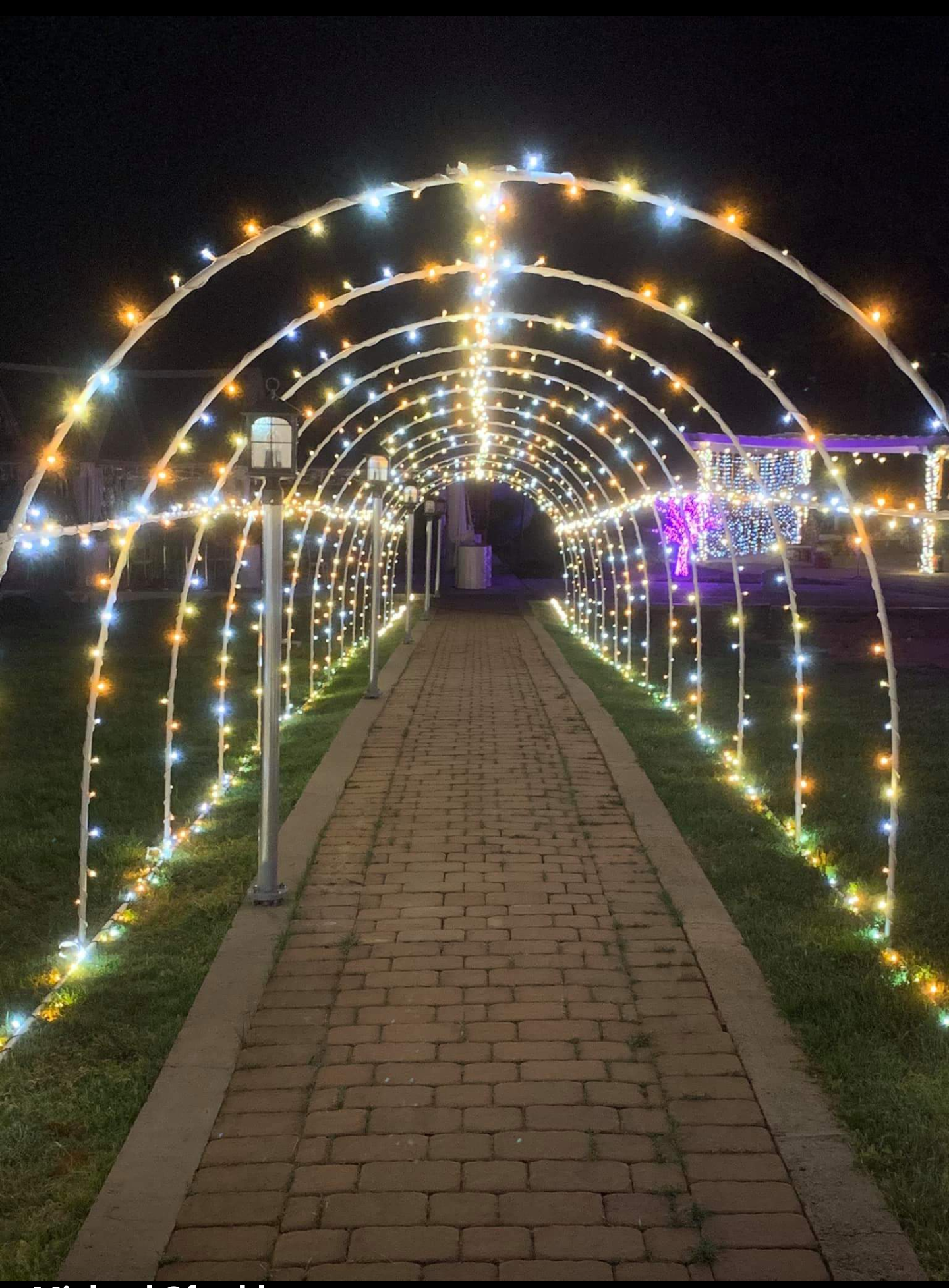 Wedding Lighting in Maryland: How to Create a Magical Outdoor Event