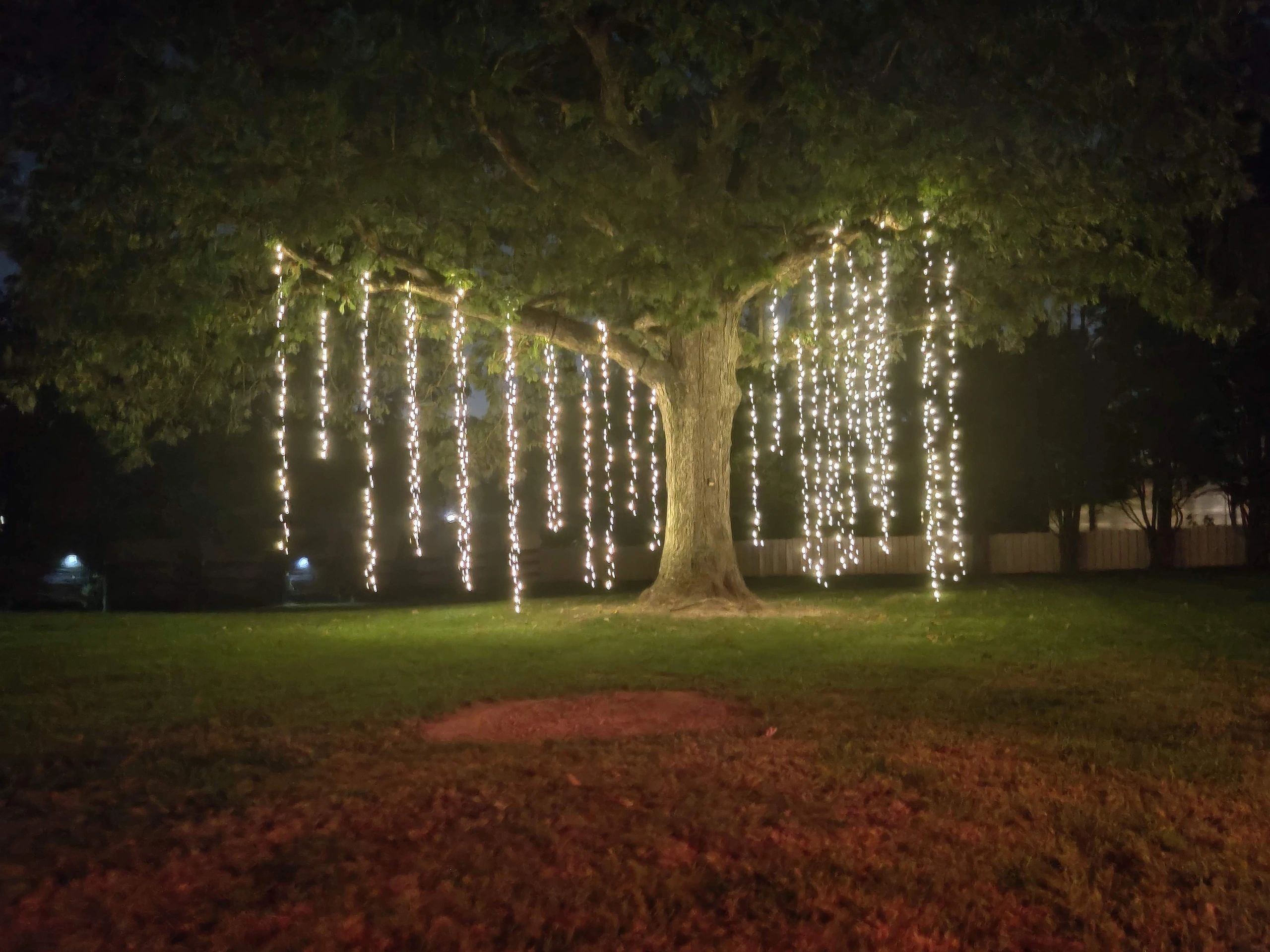 Outdoor event venue with warm bistro string lights and uplighting on trees